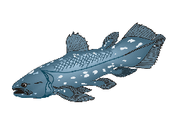 Coelacanth R2 Palaeontological Series Coin