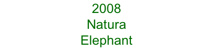 2008 Natura  Elephant