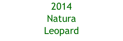 2014 Natura Leopard