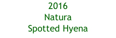 2016 Natura Spotted Hyena