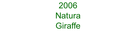 2006 Natura  Giraffe